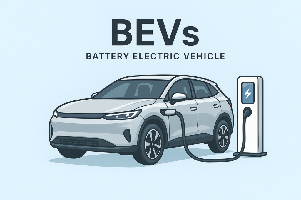 o que são BEVs?